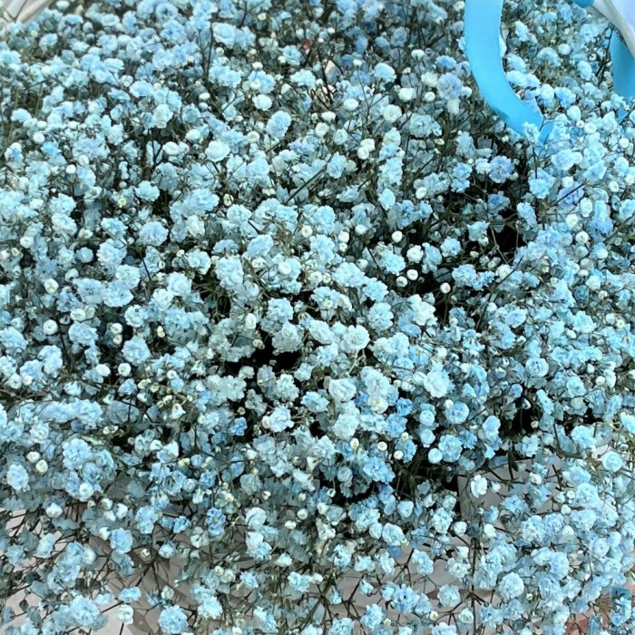 15 голубых гипсофил в корзине